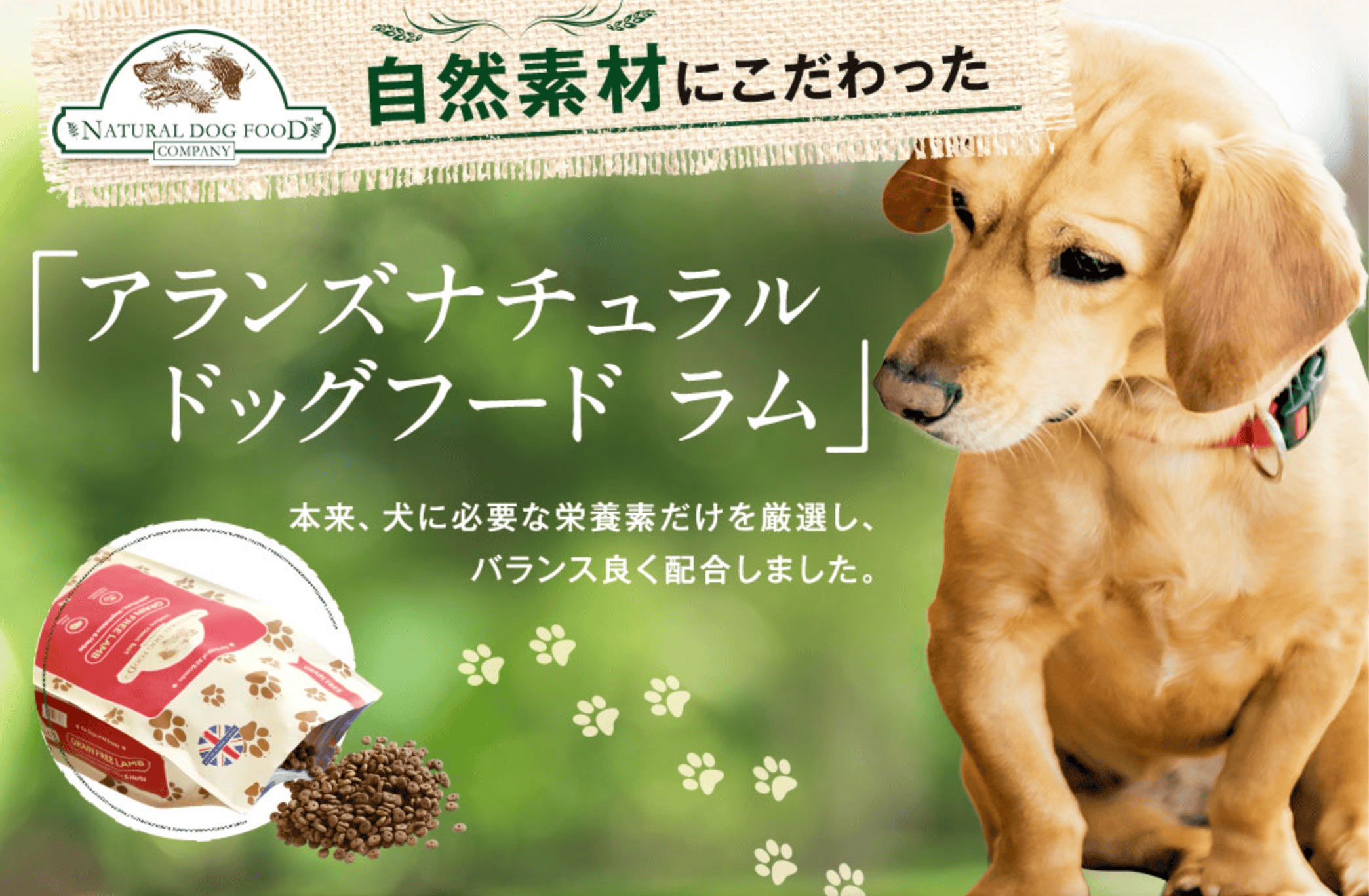 ⑪ アランズナチュラルドッグフード ラム