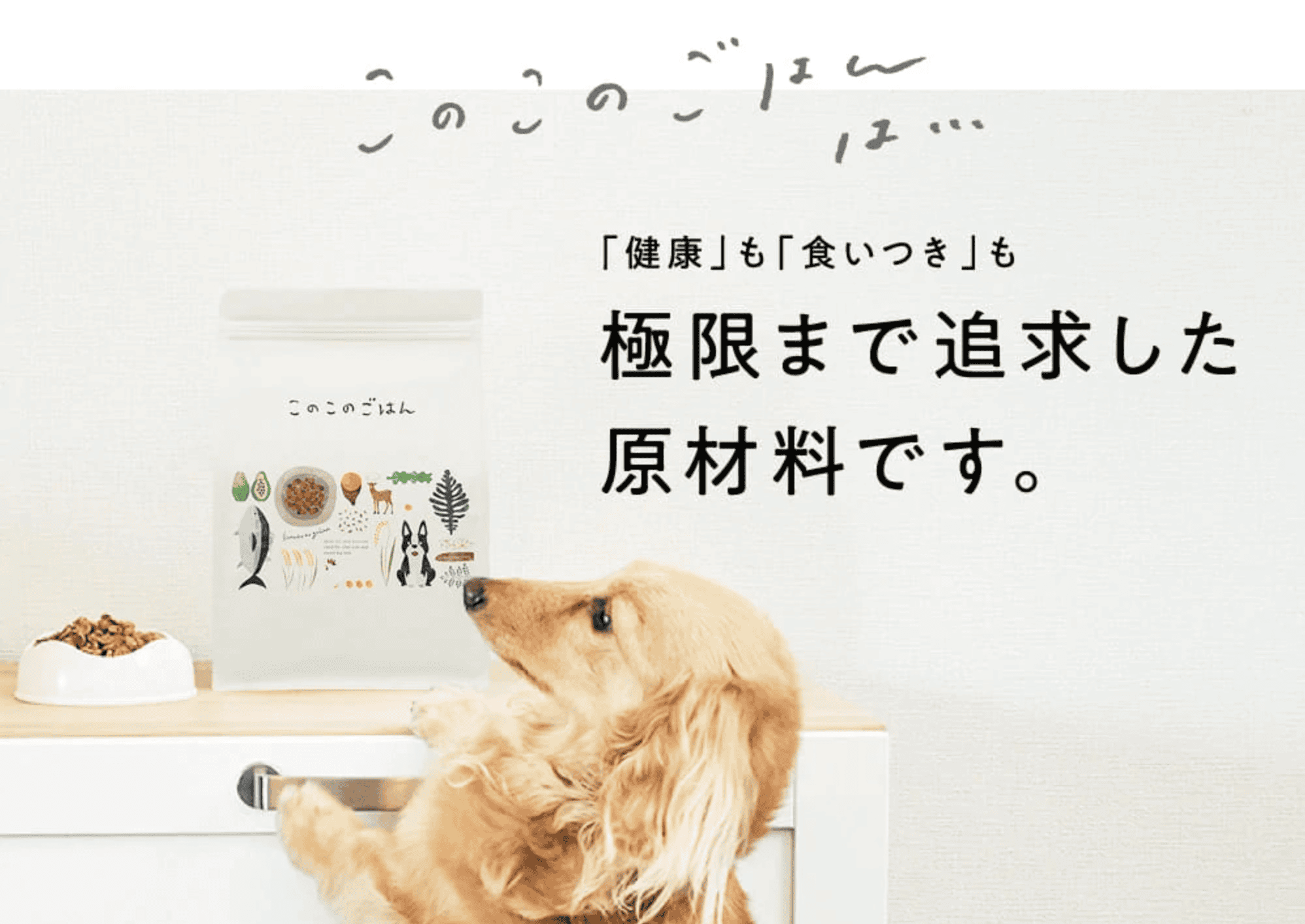 ① このこのごはん