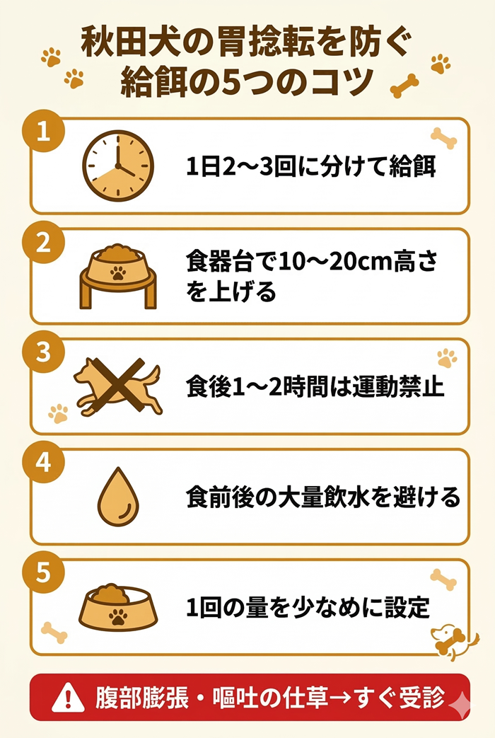 秋田犬の胃捻転を防ぐ給餌の5つのコツ：分割給餌・食器台の使用・食後の運動禁止・大量飲水を避ける・少量給餌の図解