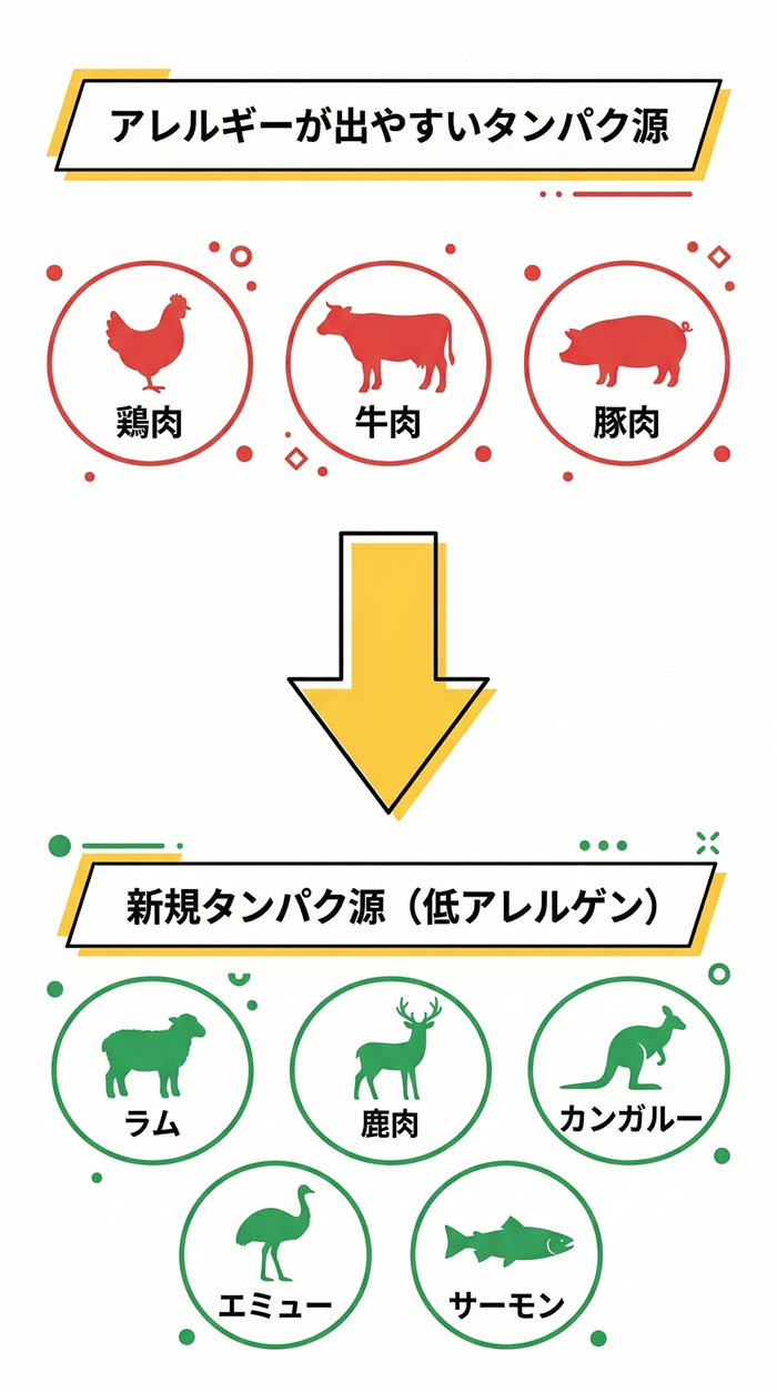 新規タンパク源一覧（アレルギー対応）