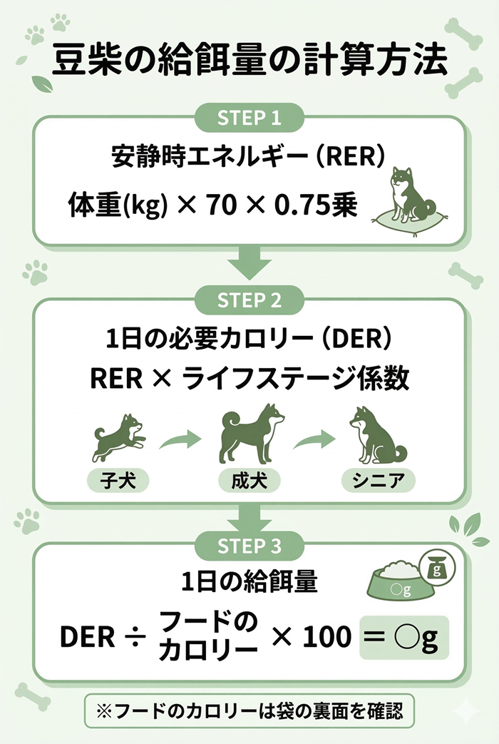 豆柴の餌の量の計算方法